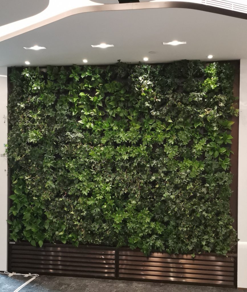 GreenWalls – www.bravolinear.com